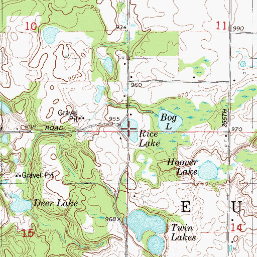 Topographic Map of Rice Lake, WI