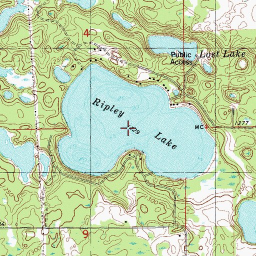 Topographic Map of Ripley Lake, WI