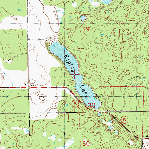 Topographic Map of Ripley Lake, WI