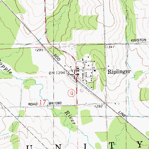 Topographic Map of Riplinger, WI