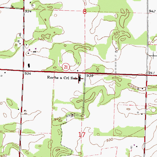Topographic Map of Roche-A-Cri Elementary School, WI