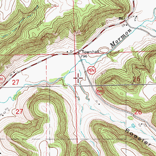 Topographic Map of Roesler Coulee, WI