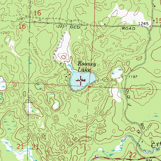 Topographic Map of Rooney Lake, WI