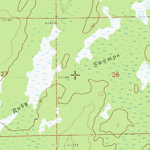 Topographic Map of Ruby Swamps, WI