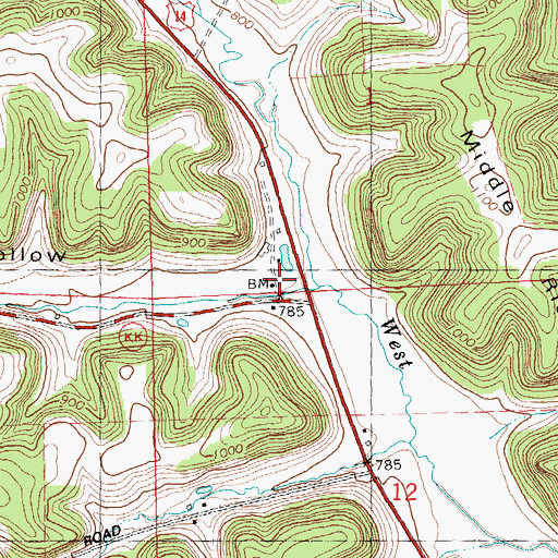 Topographic Map of Ryan Hollow, WI