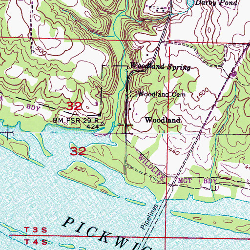 Topographic Map of Woodland, AL