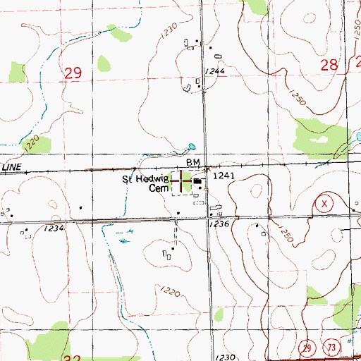 Topographic Map of Saint Hedwig Cemetery, WI
