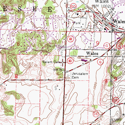 Topographic Map of Salem Cemetery, WI