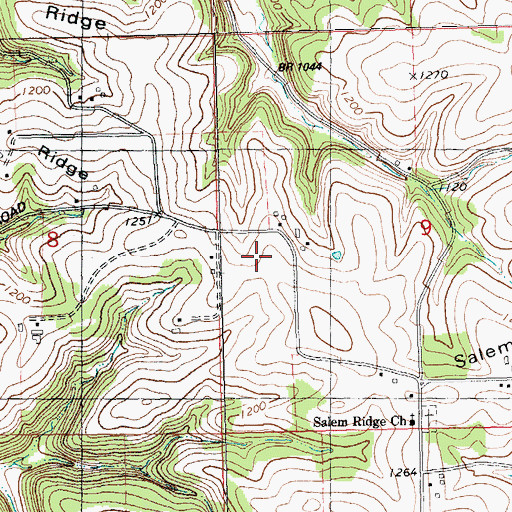 Topographic Map of Salem Ridge, WI