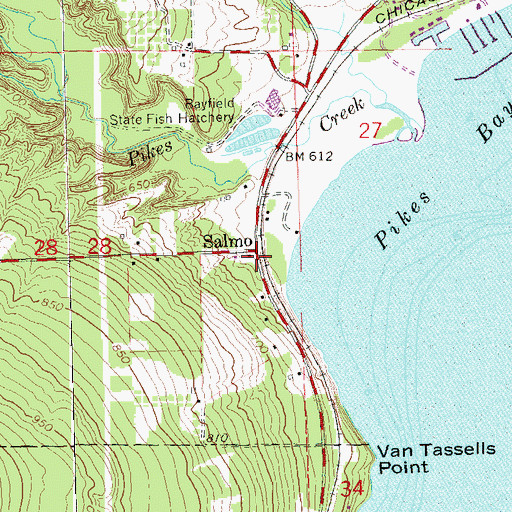 Topographic Map of Salmo, WI
