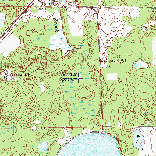 Topographic Map of Savage Springs, WI