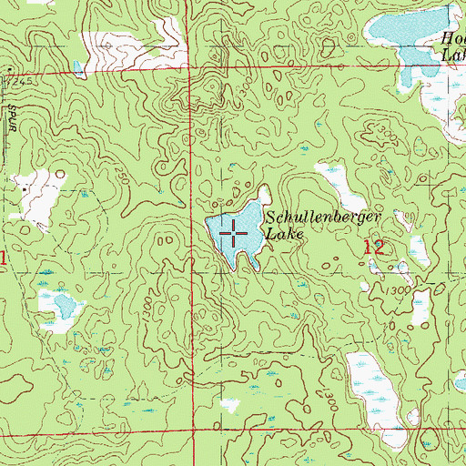 Topographic Map of Schullenberger Lake, WI