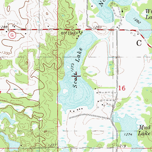 Topographic Map of Scott Lake, WI