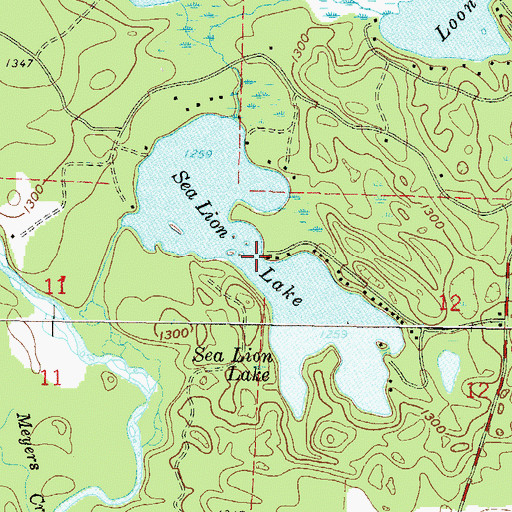 Topographic Map of Sea Lion Lake, WI