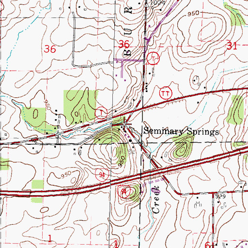 Topographic Map of Seminary Springs, WI