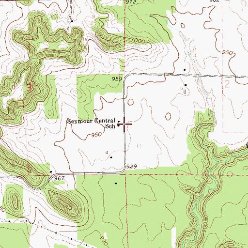 Topographic Map of Seymour Central School, WI