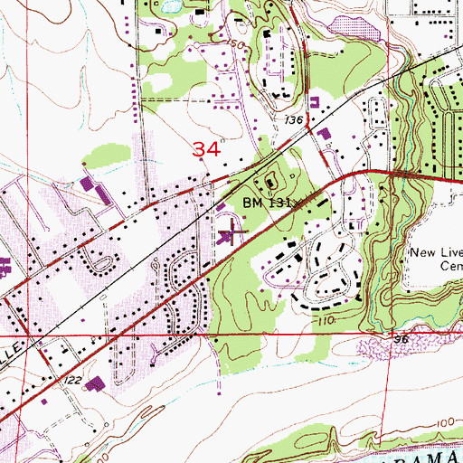 Topographic Map of Vaughan Regional Medical Center (historical), AL