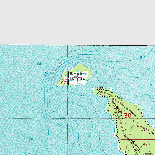 Topographic Map of Snake Island, WI