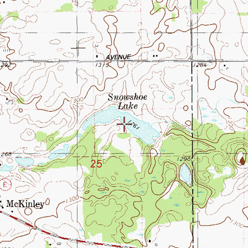 Topographic Map of Snowshoe Lake, WI