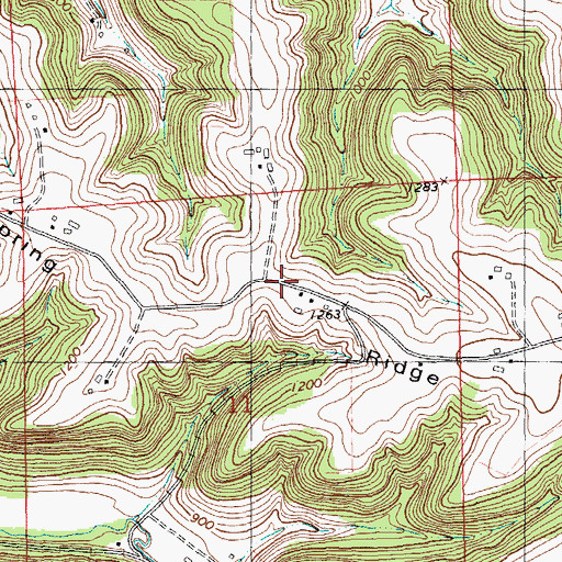 Topographic Map of Spring Ridge, WI