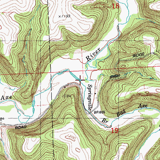Topographic Map of Springville Branch Bad Axe River, WI