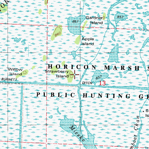 Topographic Map of Strawberry Island, WI
