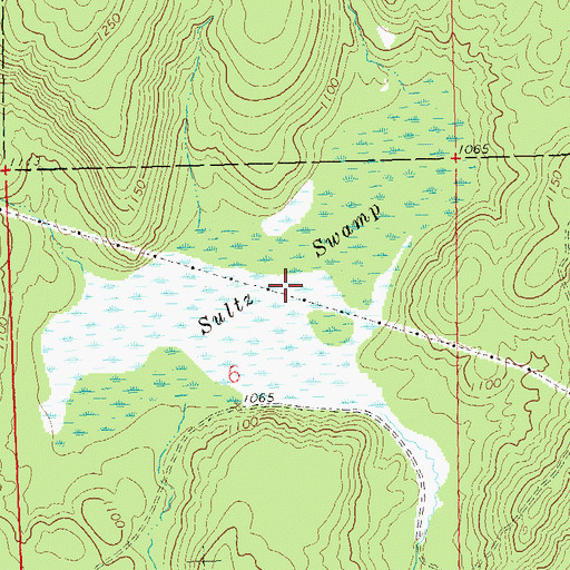 Topographic Map of Sultz Swamp, WI