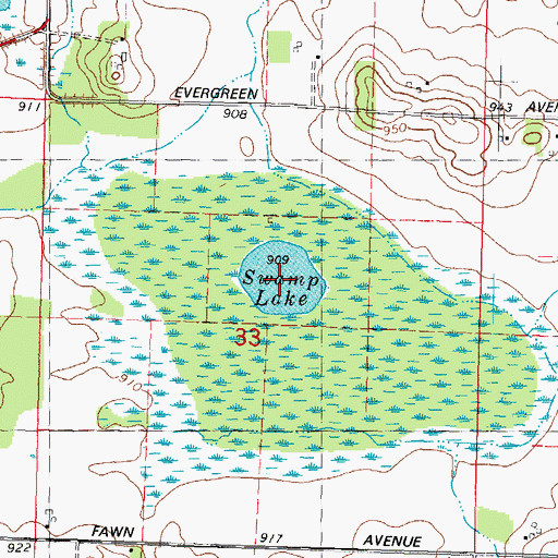 Topographic Map of Swamp Lake, WI