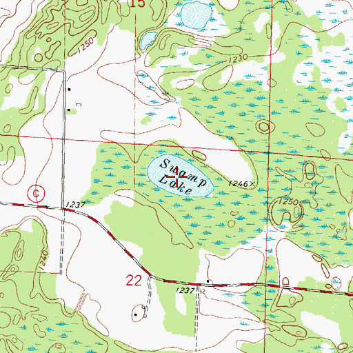 Topographic Map of Swamp Lake, WI