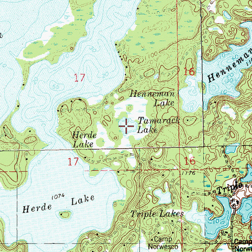 Topographic Map of Tamarack Lake, WI