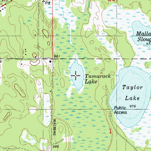 Topographic Map of Tamarack Lake, WI