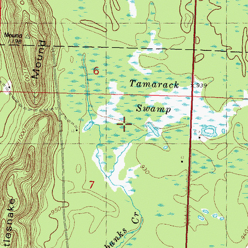 Topographic Map of Tamarack Swamp, WI