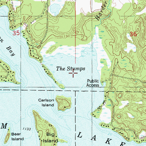 Topographic Map of The Stumps, WI