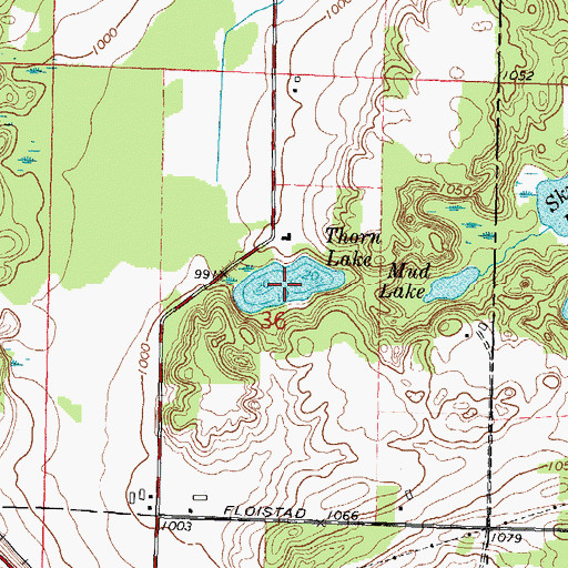 Topographic Map of Thorn Lake, WI
