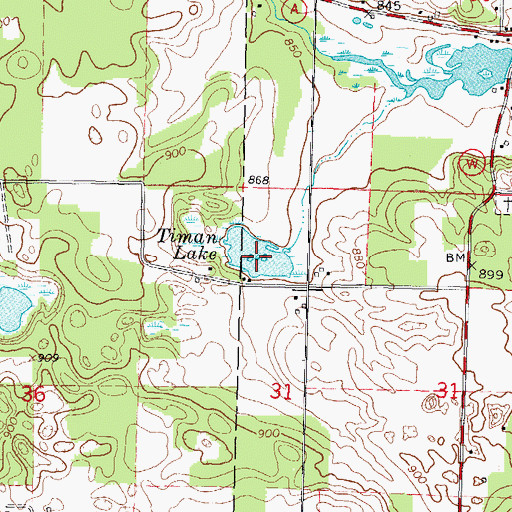 Topographic Map of Timan Lake, WI