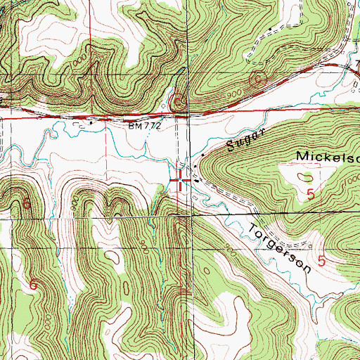 Topographic Map of Torgerson Hollow, WI