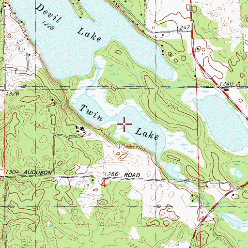 Topographic Map of Twin Lake, WI