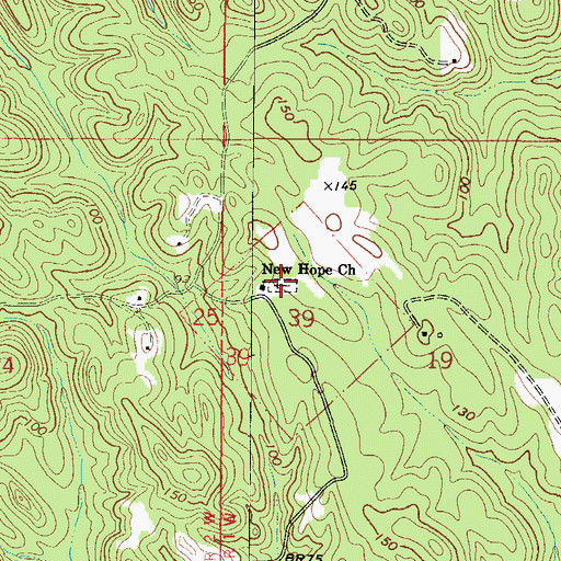 Topographic Map of New Hope Cemetery, AL