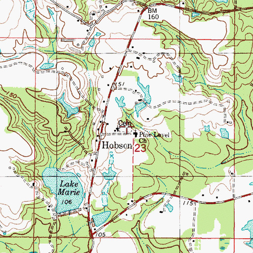 Topographic Map of Pine Level Cemetery, AL