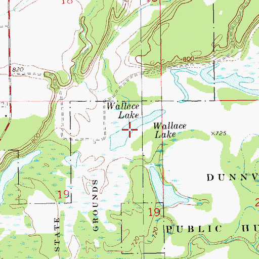 Topographic Map of Wallace Lake, WI