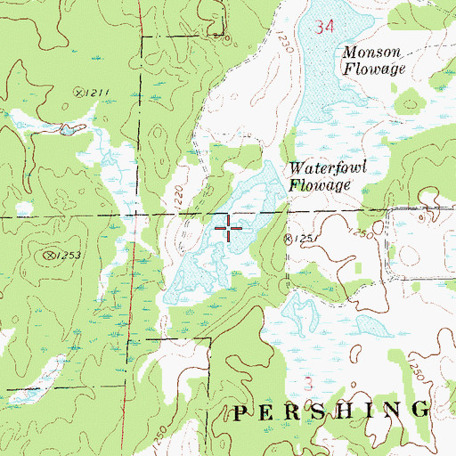 Topographic Map of Waterfowl Flowage, WI