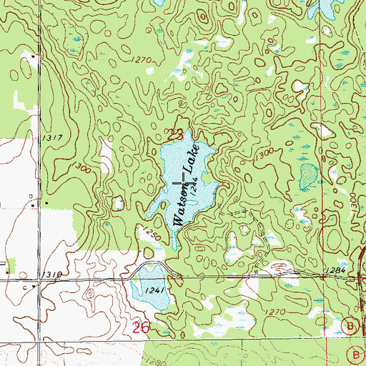 Topographic Map of Watson Lake, WI