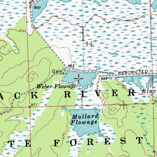 Topographic Map of Weber Flowage, WI
