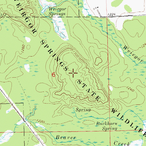 Topographic Map of Weirgor Springs State Wildlife Area, WI