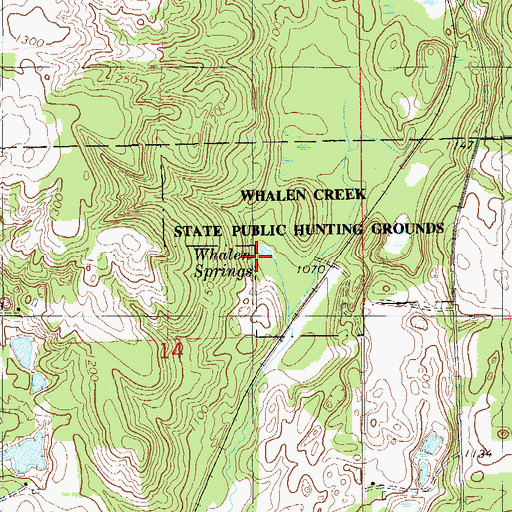 Topographic Map of Whalen Springs, WI