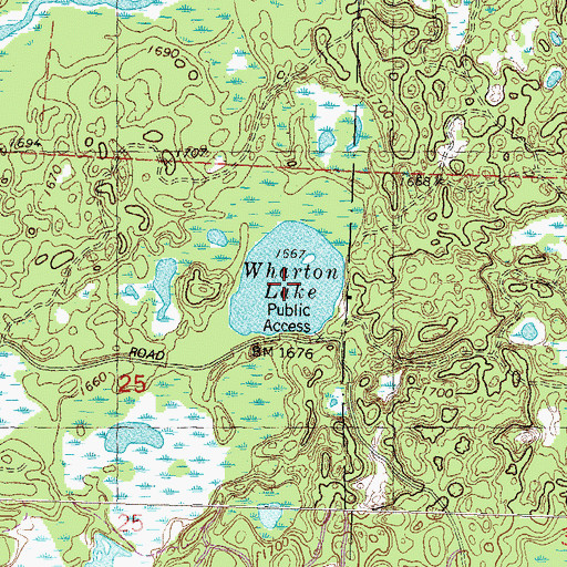 Topographic Map of Wharton Lake, WI