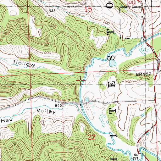 Topographic Map of White Hollow, WI