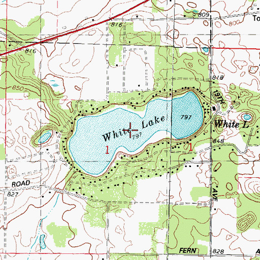 Topographic Map of White Lake, WI