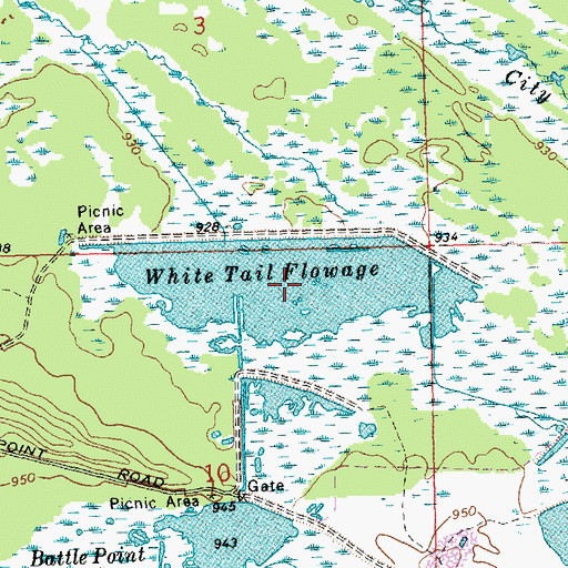 Topographic Map of White Tail Flowage, WI