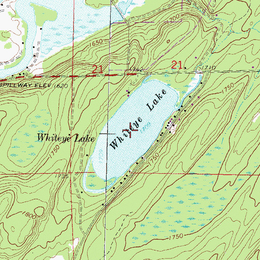 Topographic Map of Whiteye Lake, WI